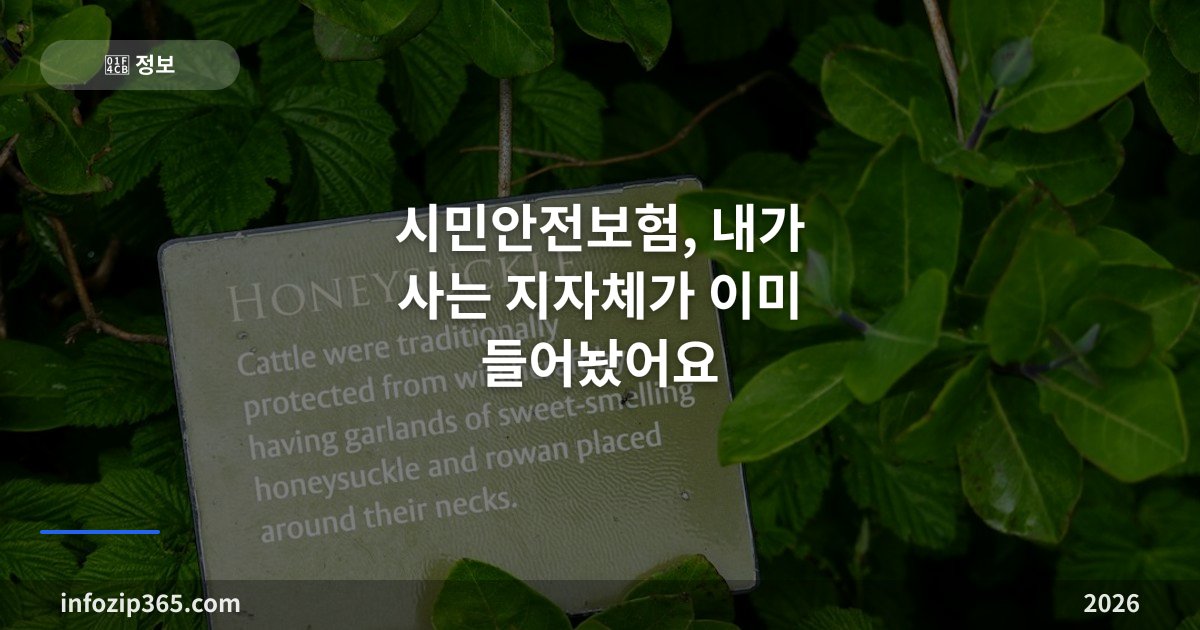 시민안전보험, 내가 사는 지자체가 이미 들어놨어요 — 보장 항목 조회와 청구 방법