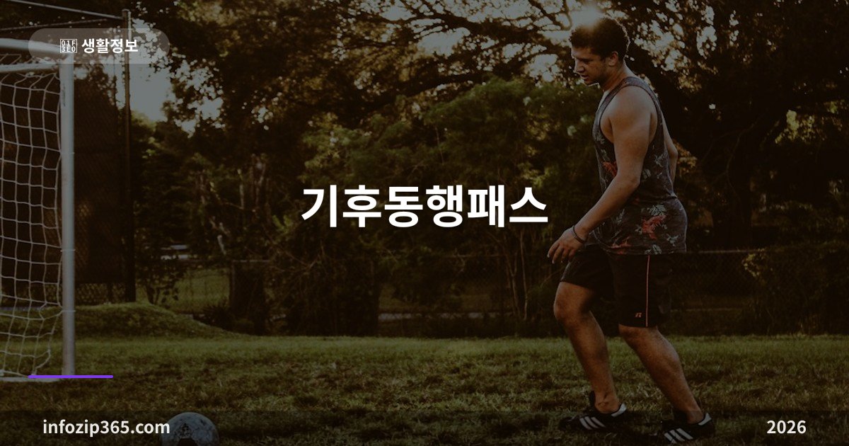 기후동행패스 — 모두의카드와 관계·39세까지 청년 환급·카드 발급과 등록
