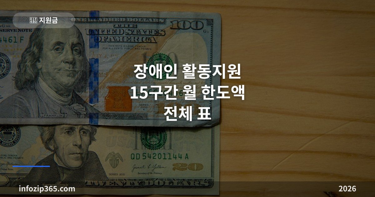 장애인 활동지원 15구간 월 한도액 전체 표 — 종합점수로 내 구간 찾기