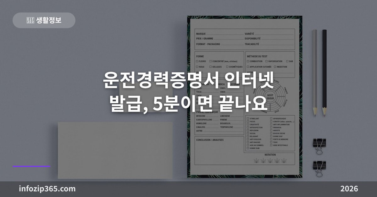 운전경력증명서 인터넷 발급, 5분이면 끝나요 — 정부24·경찰서·용도별 정리