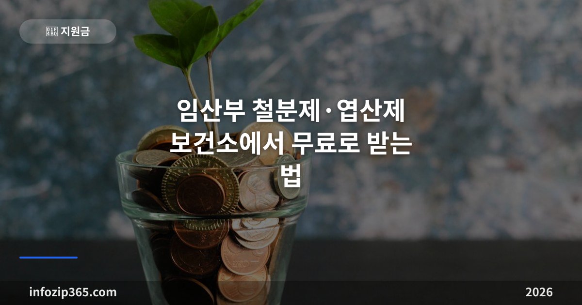 임산부 철분제·엽산제 보건소에서 무료로 받는 법 — 시기별로 놓치지 마세요